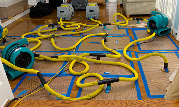 Professional Structural Drying And Dehumidification technician working in Winnsboro, TX